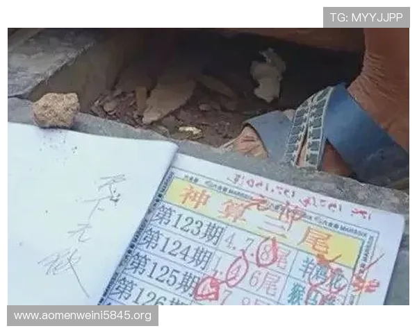 澳门六合彩网站最新优惠活动与彩金福利，丰富您的投注娱乐体验